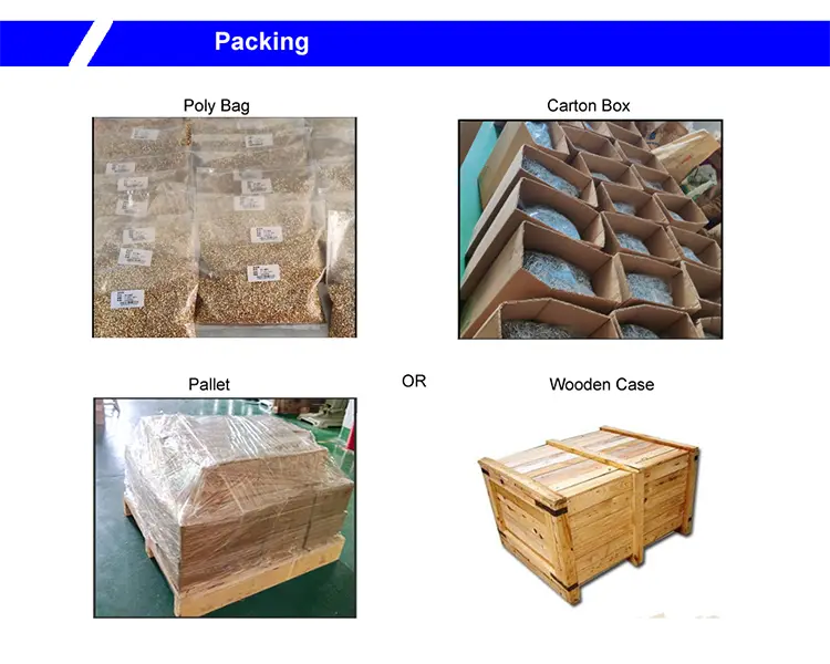 Stainless Steel Semi Tubular Rivets