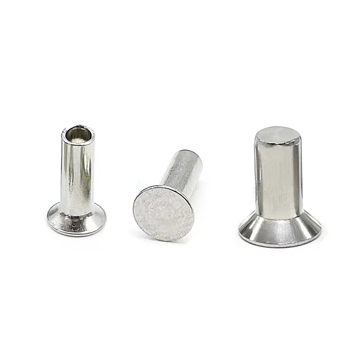 Rustfrit stål forsænkede hovednitter